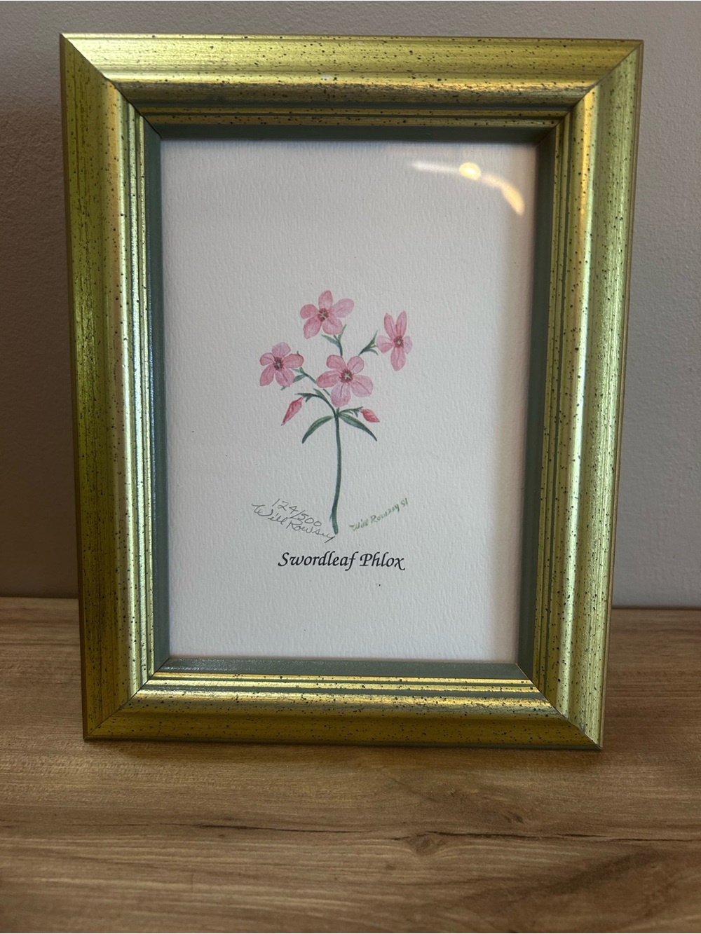 Gold Picture Frame with Pink Floral Art - Home Accents